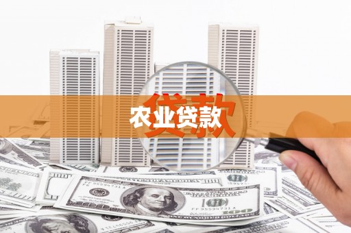 崁顶农业贷款
