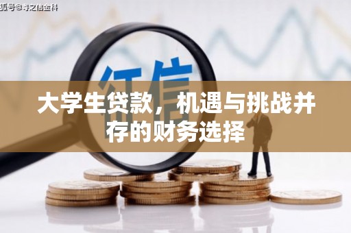 崁顶大学生贷款，机遇与挑战并存的财务选择