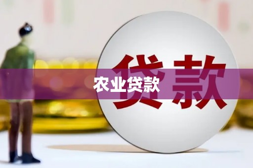 崁顶农业贷款