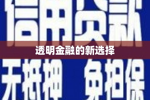 崁顶透明金融的新选择
