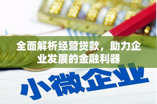 崁顶全面解析经营贷款，助力企业发展的金融利器