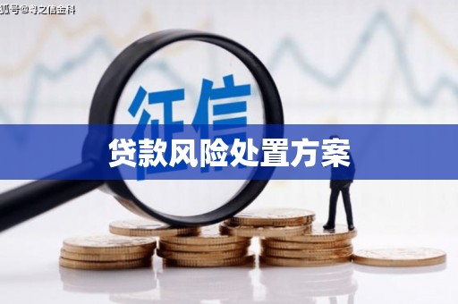 崁顶贷款风险处置方案