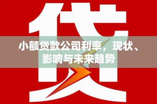 崁顶小额贷款公司利率，现状、影响与未来趋势