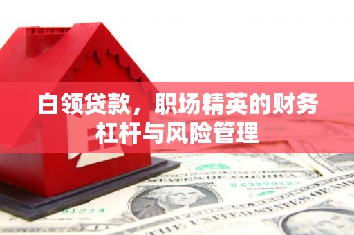 崁顶白领贷款，职场精英的财务杠杆与风险管理