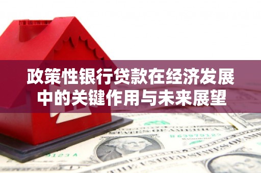崁顶政策性银行贷款在经济发展中的关键作用与未来展望