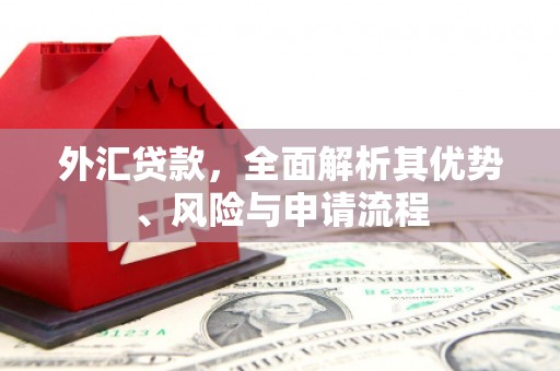 崁顶外汇贷款，全面解析其优势、风险与申请流程