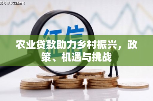崁顶农业贷款助力乡村振兴，政策、机遇与挑战