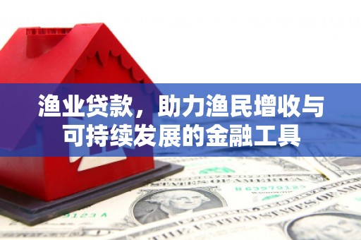崁顶渔业贷款，助力渔民增收与可持续发展的金融工具