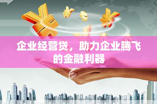 崁顶企业经营贷，助力企业腾飞的金融利器