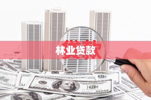 崁顶林业贷款