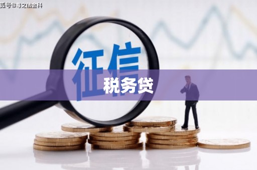 崁顶税务贷
