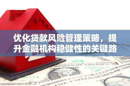 崁顶优化贷款风险管理策略，提升金融机构稳健性的关键路径