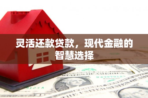 崁顶灵活还款贷款，现代金融的智慧选择