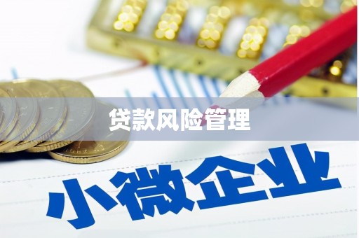 崁顶贷款风险管理