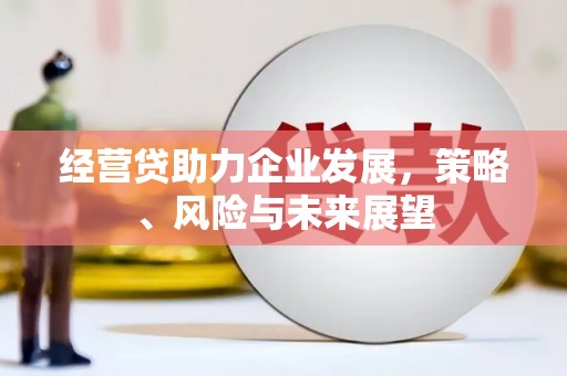 崁顶经营贷助力企业发展，策略、风险与未来展望