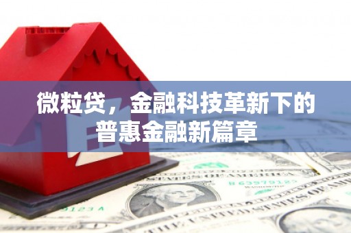 崁顶微粒贷，金融科技革新下的普惠金融新篇章