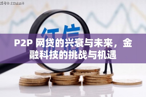 崁顶P2P 网贷的兴衰与未来，金融科技的挑战与机遇