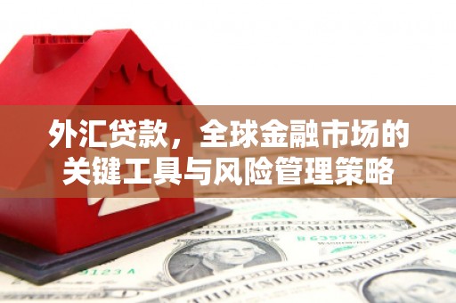 崁顶外汇贷款，全球金融市场的关键工具与风险管理策略