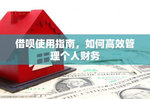 崁顶借呗使用指南，如何高效管理个人财务