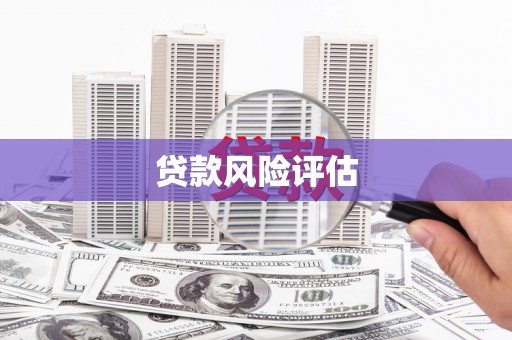 崁顶贷款风险评估