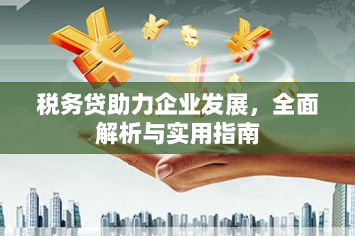 崁顶税务贷助力企业发展，全面解析与实用指南