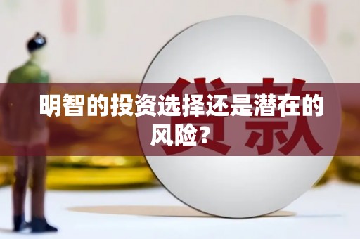 崁顶明智的投资选择还是潜在的风险？