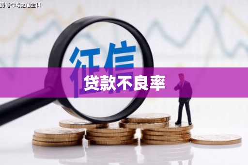 崁顶贷款不良率