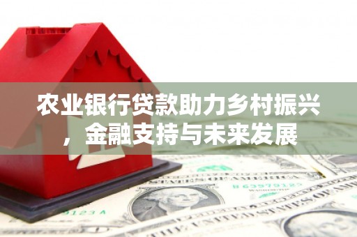 崁顶农业银行贷款助力乡村振兴，金融支持与未来发展