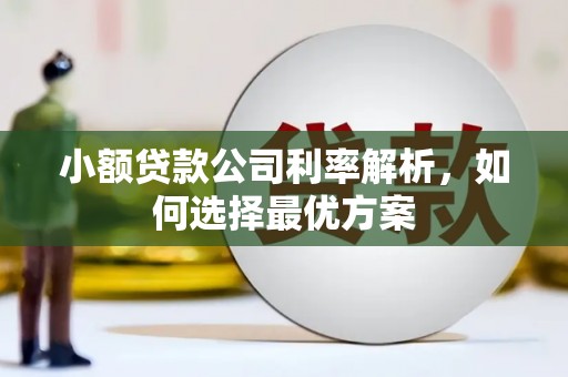 崁顶小额贷款公司利率解析，如何选择最优方案