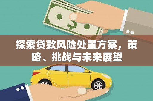 崁顶探索贷款风险处置方案，策略、挑战与未来展望