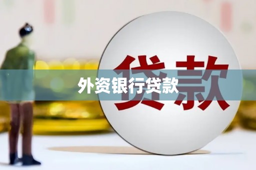 崁顶外资银行贷款