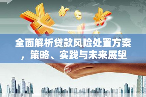 崁顶全面解析贷款风险处置方案，策略、实践与未来展望