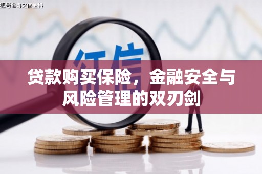 崁顶贷款购买保险，金融安全与风险管理的双刃剑