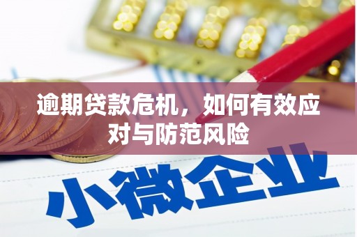 崁顶逾期贷款危机，如何有效应对与防范风险
