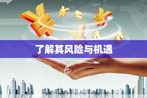 崁顶了解其风险与机遇
