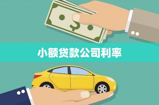 崁顶小额贷款公司利率