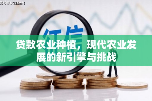 崁顶贷款农业种植，现代农业发展的新引擎与挑战