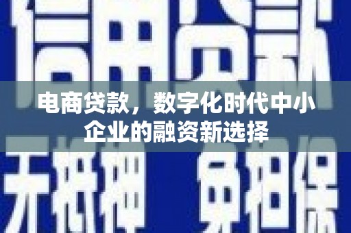 崁顶电商贷款，数字化时代中小企业的融资新选择