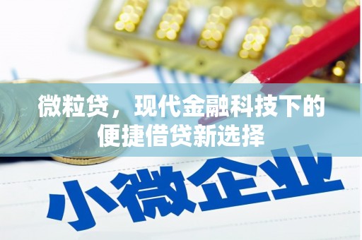 崁顶微粒贷，现代金融科技下的便捷借贷新选择