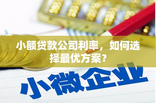崁顶小额贷款公司利率，如何选择最优方案？