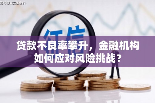 崁顶贷款不良率攀升，金融机构如何应对风险挑战？