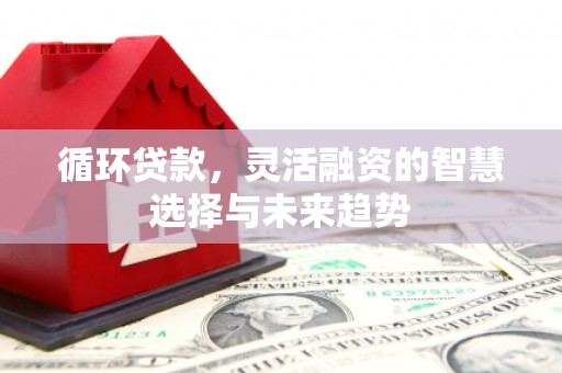 崁顶循环贷款，灵活融资的智慧选择与未来趋势