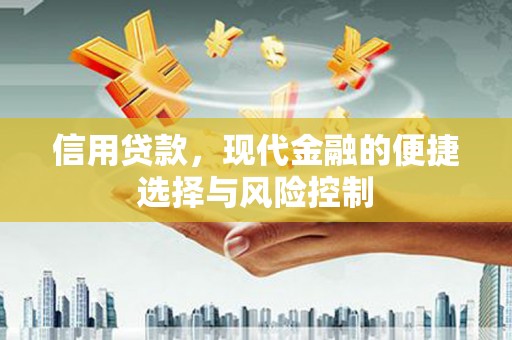 崁顶信用贷款，现代金融的便捷选择与风险控制