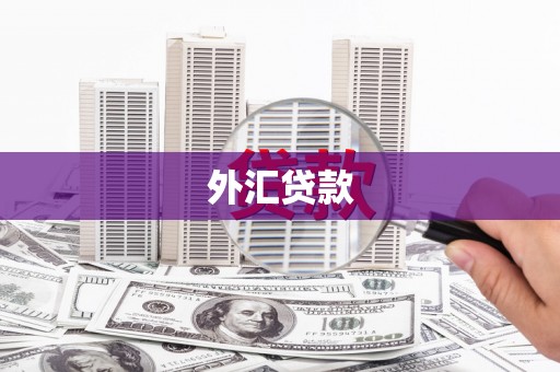 崁顶外汇贷款