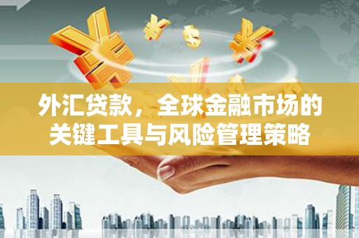 崁顶外汇贷款，全球金融市场的关键工具与风险管理策略