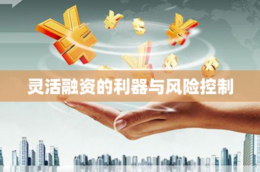 崁顶灵活融资的利器与风险控制