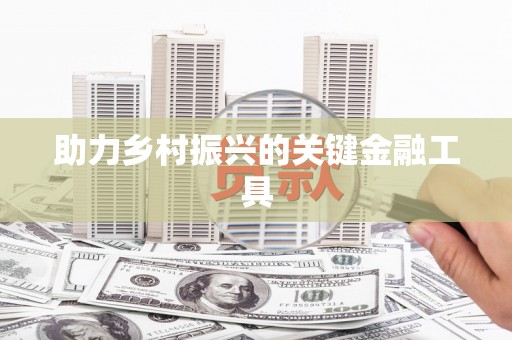 崁顶助力乡村振兴的关键金融工具