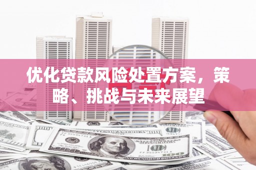 崁顶优化贷款风险处置方案，策略、挑战与未来展望