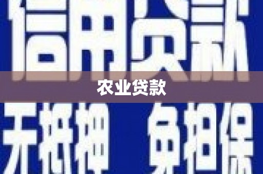 崁顶农业贷款
