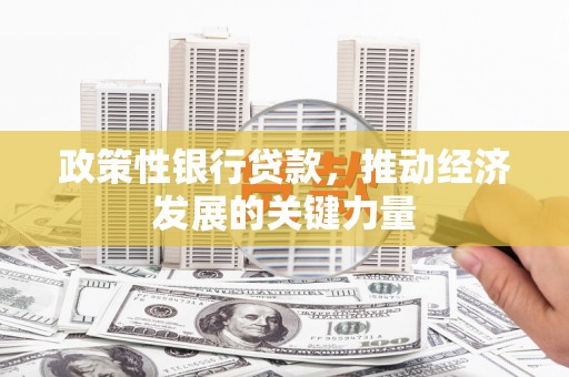 崁顶政策性银行贷款，推动经济发展的关键力量